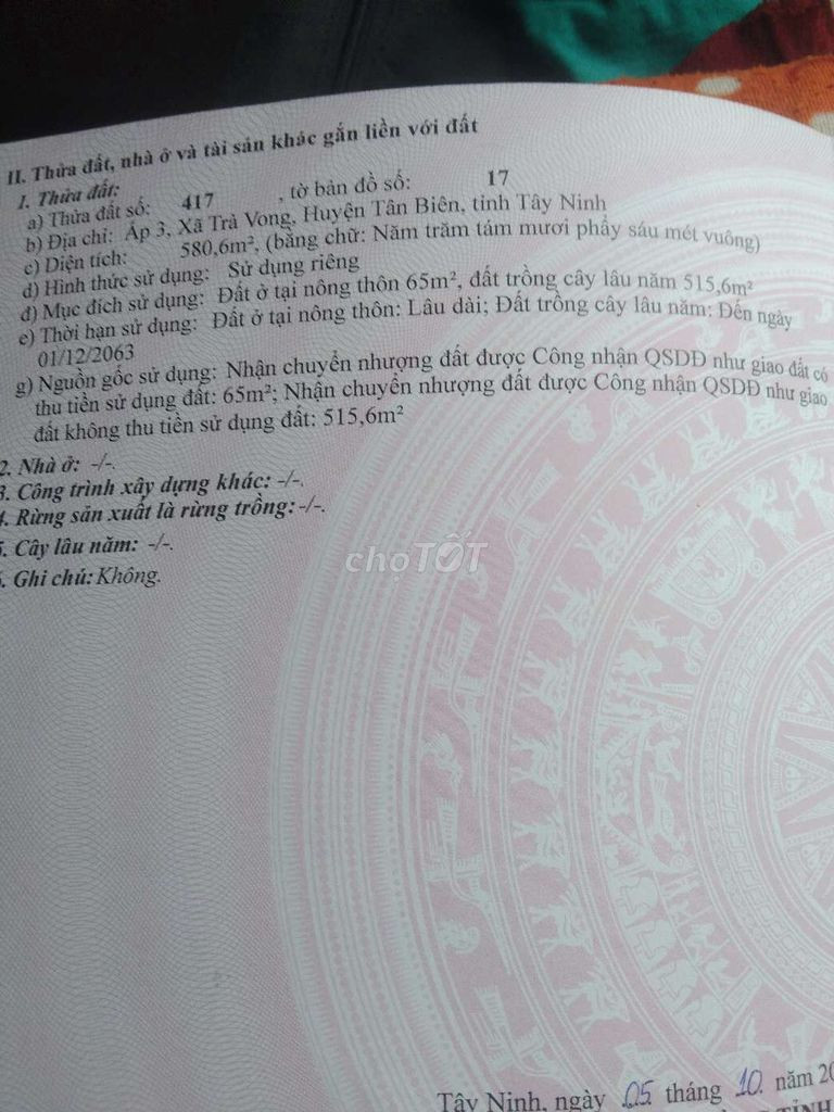 Chính chủ cần bán đất thổ cư+cây lâu năm diện tích 586m