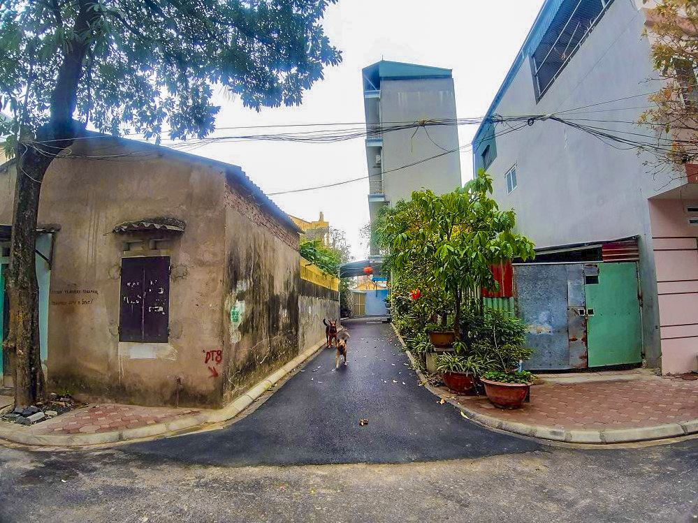 Tìm mua đất Trâu Quỳ, Gia Lâm, Hà Nội. Dt từ 40 đến 60m2. Đường trền 2,5m. Báo tin