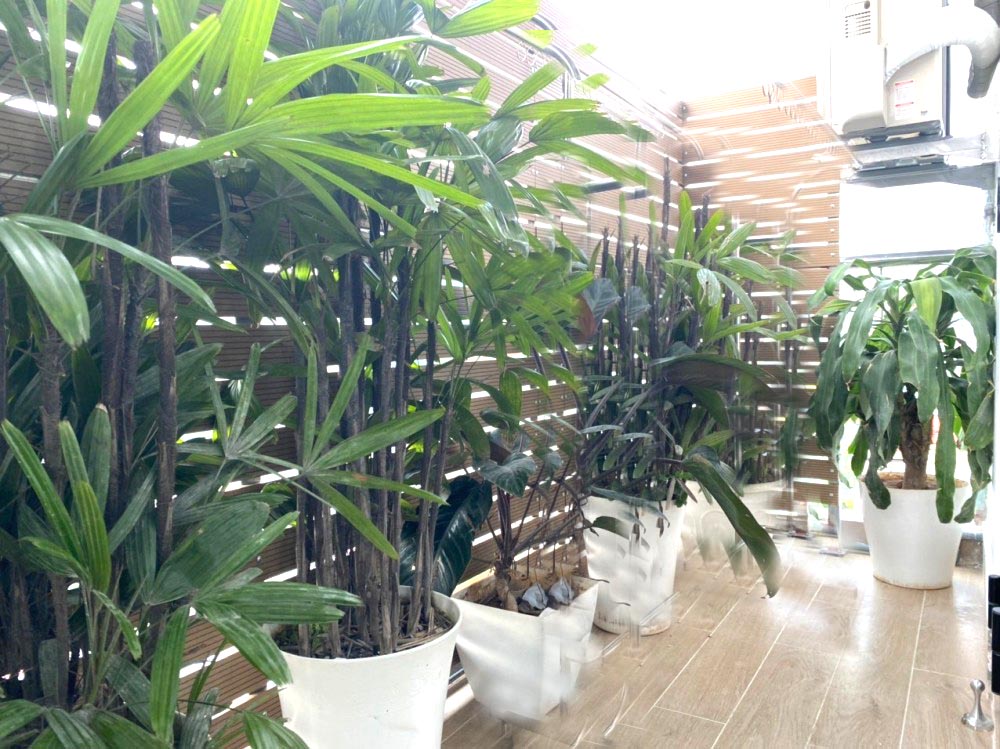 Tòa cao ốc 9Tx 118m2 thang máy, phố Trung Hòa, mặt tiền 6m, 37 tỷ 5