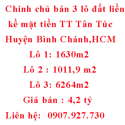Chính chủ bán 3 lô đất liền kề mặt tiền TT.Tân Túc, huyện Bình Chánh, Hồ Chí Minh