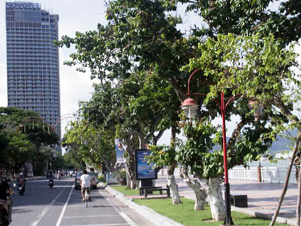 ban nha bach dang da nang
