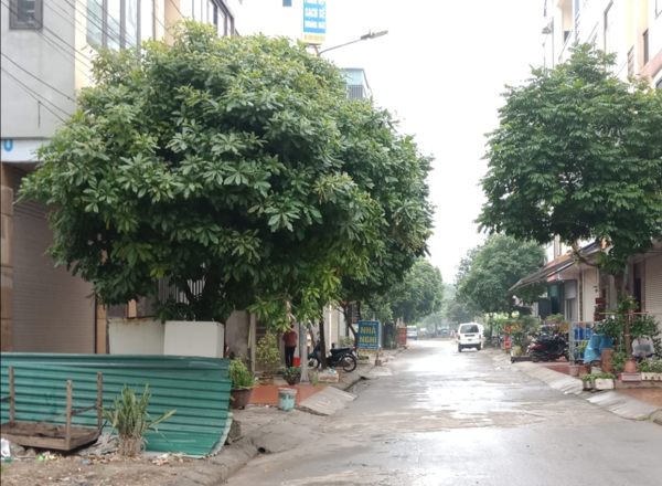 ban-nha-la-noi-ha-dong-2