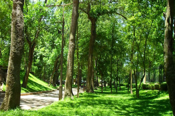 Mua bán nhà ngõ 127 Văn Cao với không khí trong lành ban-nha-ngo-127-van-cao-6