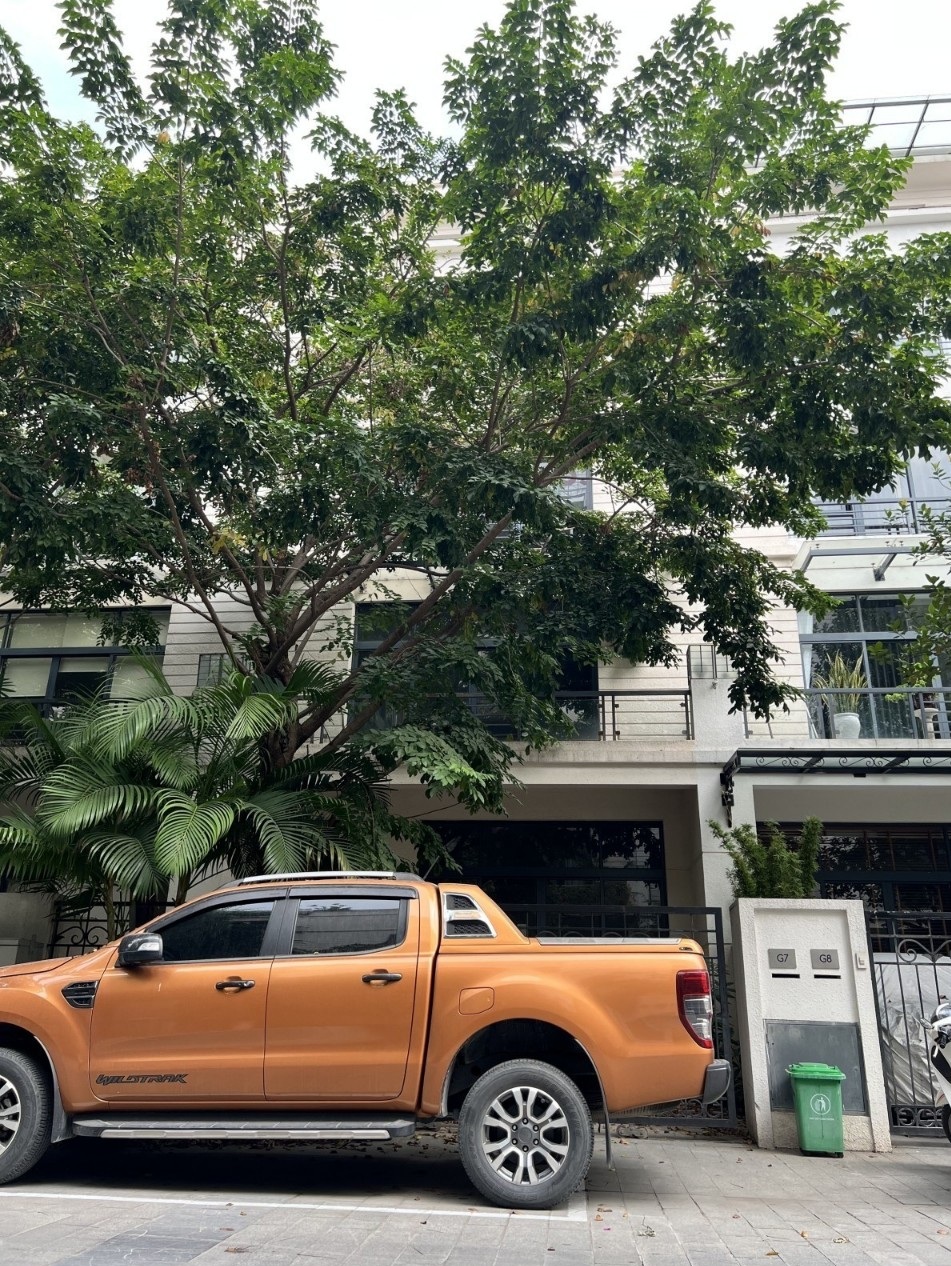 Biệt thự siêu Hiếm!!báu vật truyền đời, kinh doanh đẳng cấp, Dt 150m2, chỉ 27.5 tỷ.