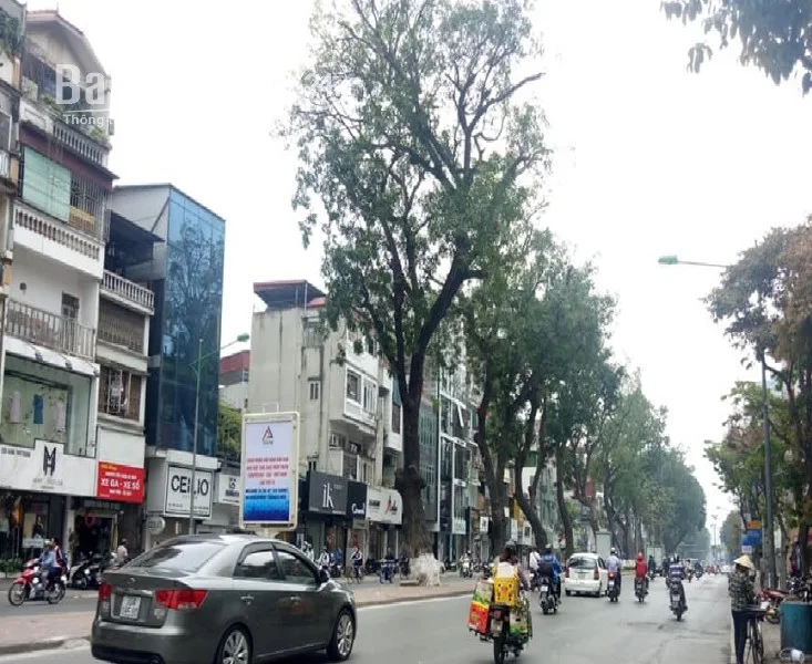 Cho thuê nhà MP Kim Mã , DT 50m2 x 5T , MT 3.5m kdoanh mọi mô hình sạch sẽ giá chỉ 40tr/tháng