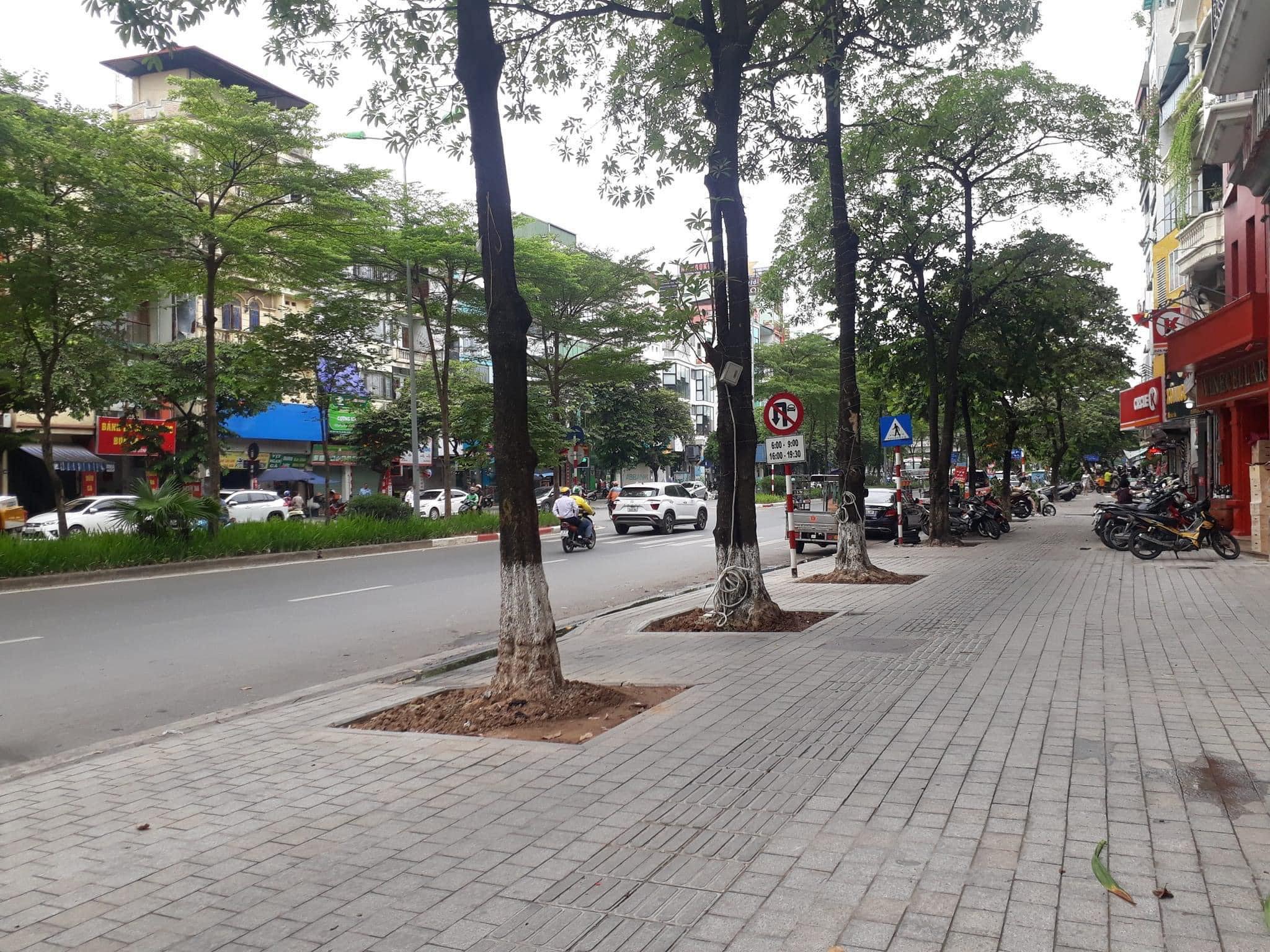 LÕI BA ĐÌNH - PHỐ VIP - NGÕ THÔNG - NHÀ MỚI - THANG MÁY - KINH DOANH SẦM UẤT