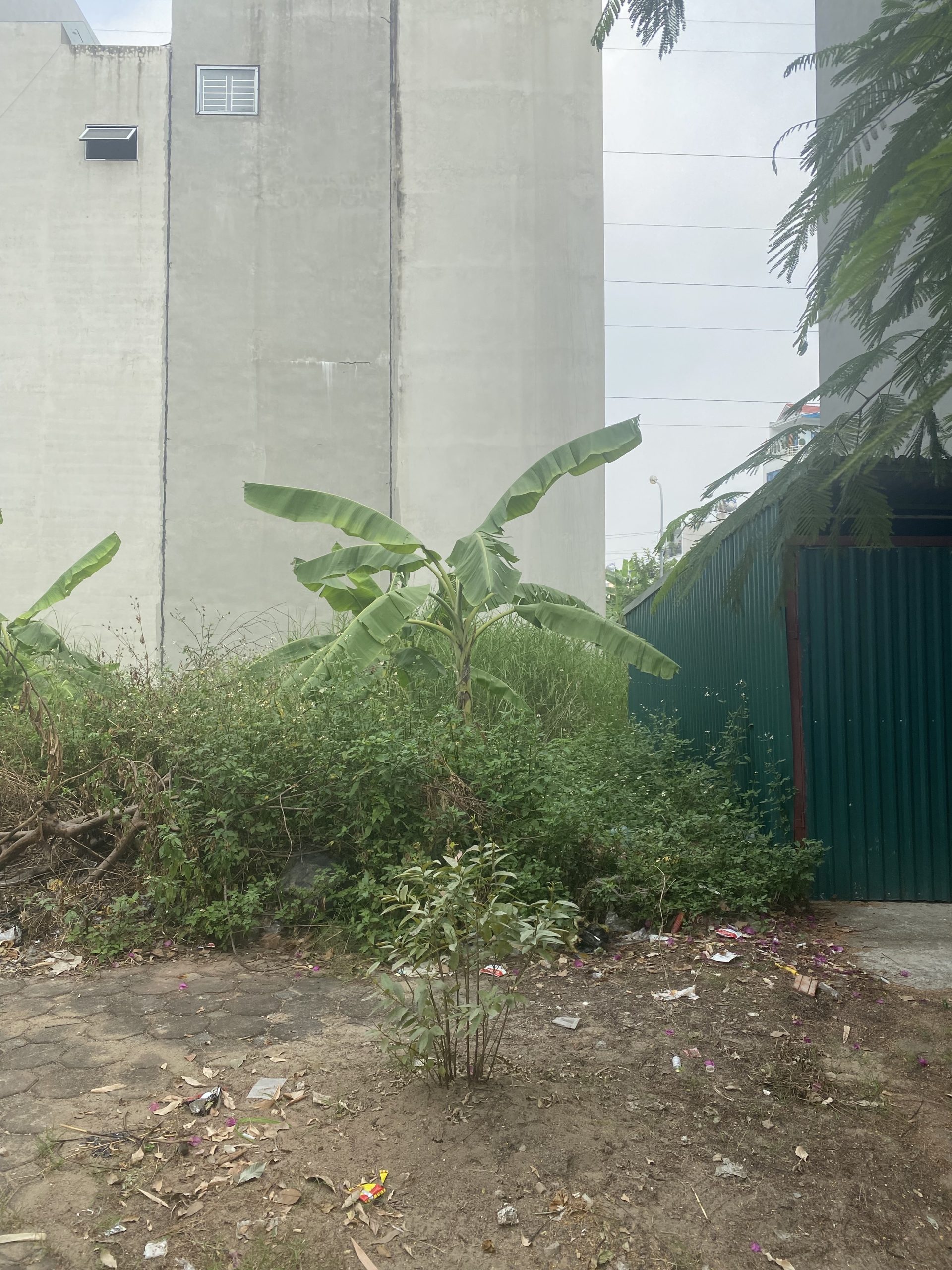 Bán đất dịch vụ khu C Yên Nghĩa. - Hướng Đông Nam