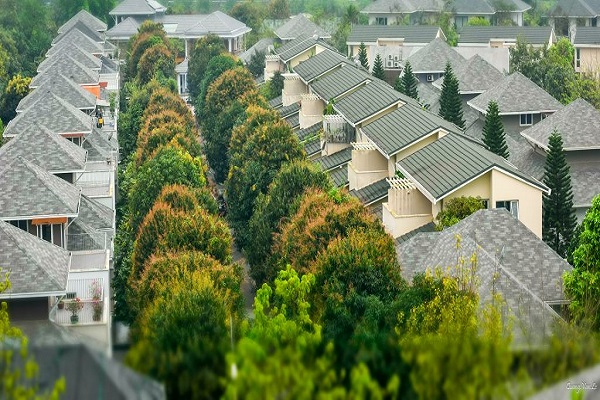 không gian xanh khi mua bán biệt thự vườn tùng ecopark