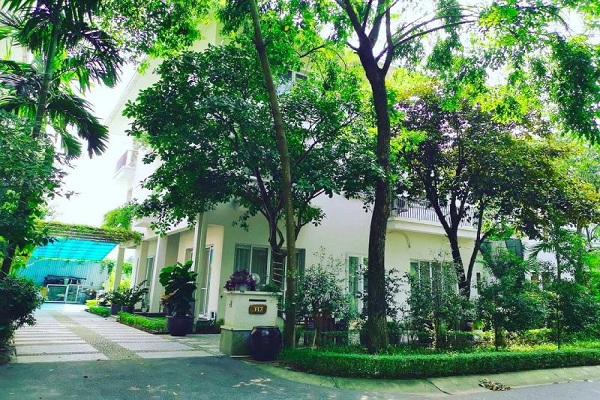 Thiết kế biệt thự đơn lập vườn tùng Ecopark