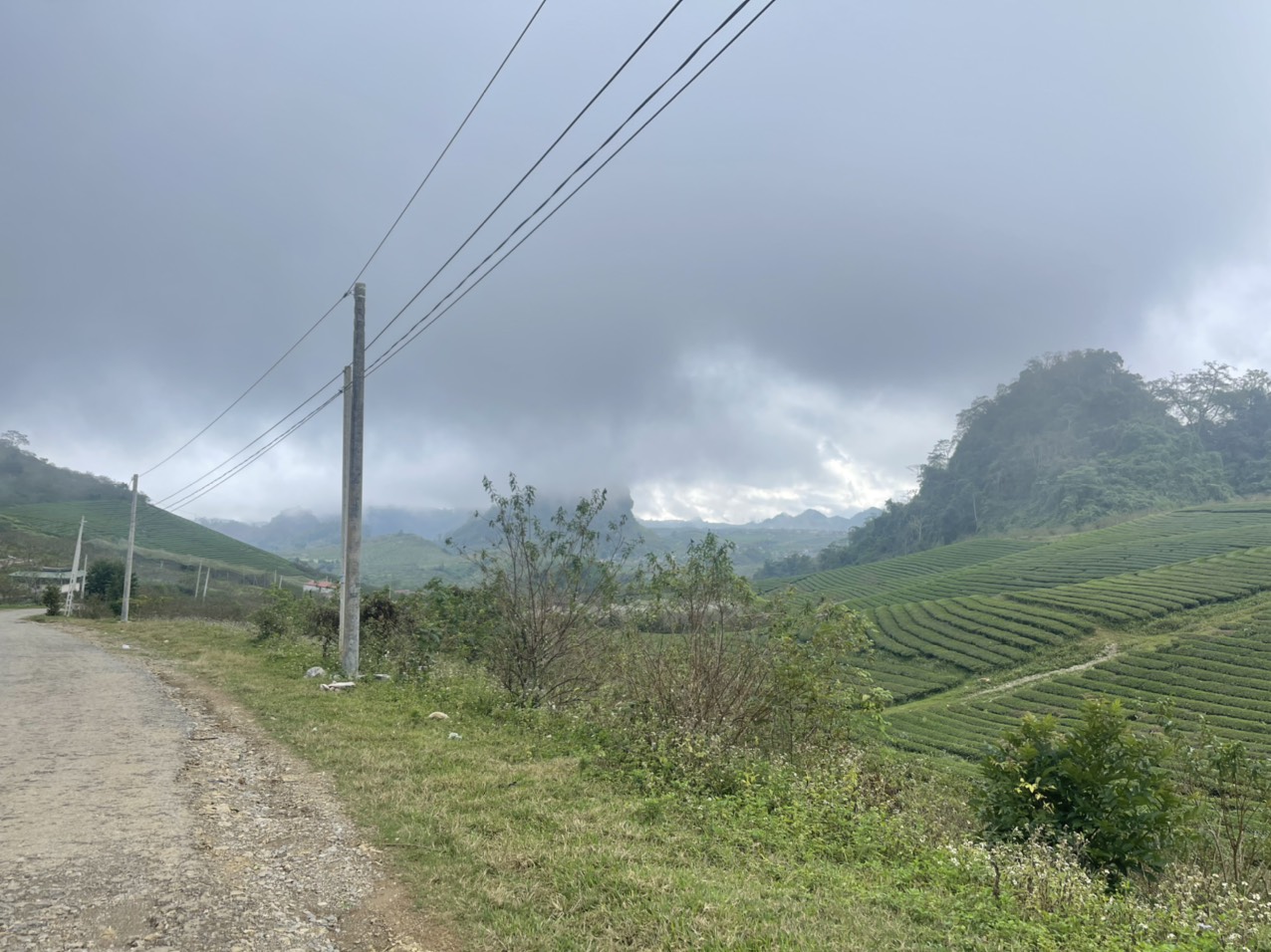 BÁN ĐẤT MỘC CHÂU VIEW ĐẸP ĐÃ CÓ SỔ LÀM HOMESTAY, FARMSTAY