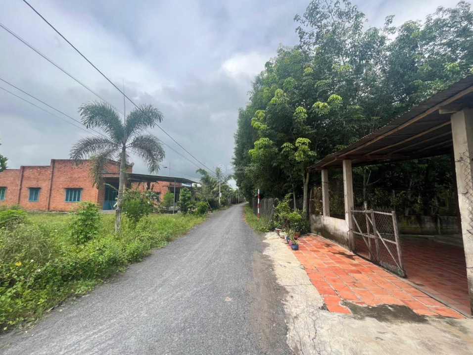 Ngộp Kẹt Cứng Ngắt – Cần Ra Nhanh Lô Dương Minh Châu 550tr/200m2.