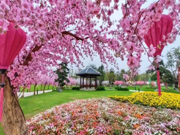 Con đường hoa anh đào tại vườn Nhật Vinhomes Smart City vuon-nhat-vinhomes-smart-city-3