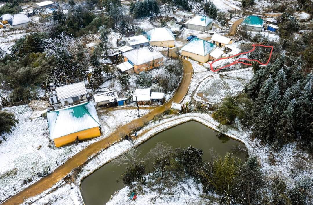 Đất nền Y Tý gần bên xe quy hoạch, khu vực tuyết rơi đẹp nhất Y Tý. Quy hoạch Sapa 2. Bán mảnh 499m2