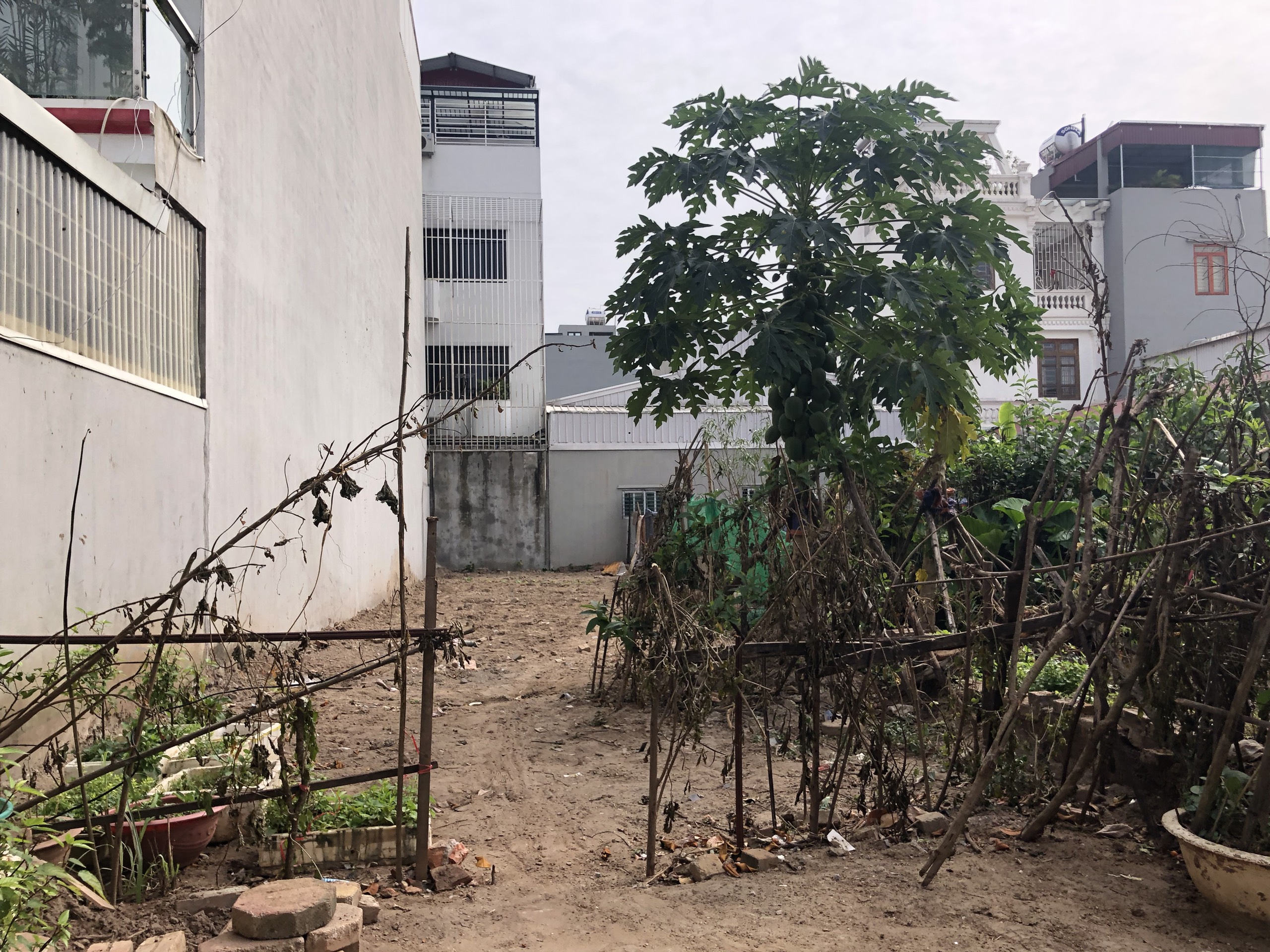 Chủ nhà khẩn thiết bán lô áp góc 50m TĐC Phúc Lợi, Long Biên