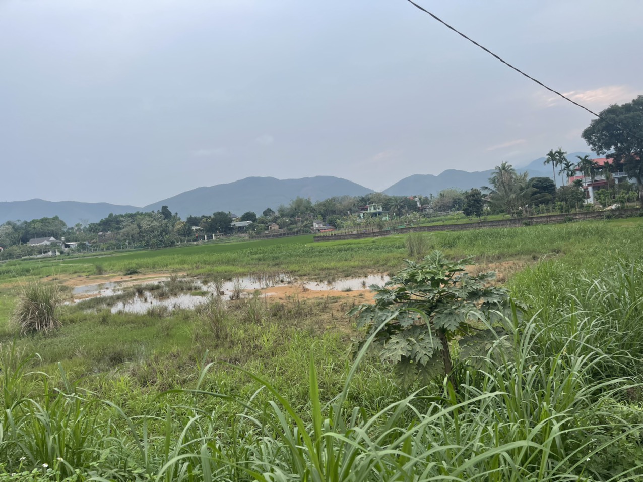 SIÊU PHẨM PHÚ THỌ BÁN CẢ 2 LÔ 200M2 KHU ĐẤU GIÁ DT SỬ DỤNG 400M2 GIÁ CHƯA ĐẾN 2 TỶ DÀNH CHO QUÝ ACE