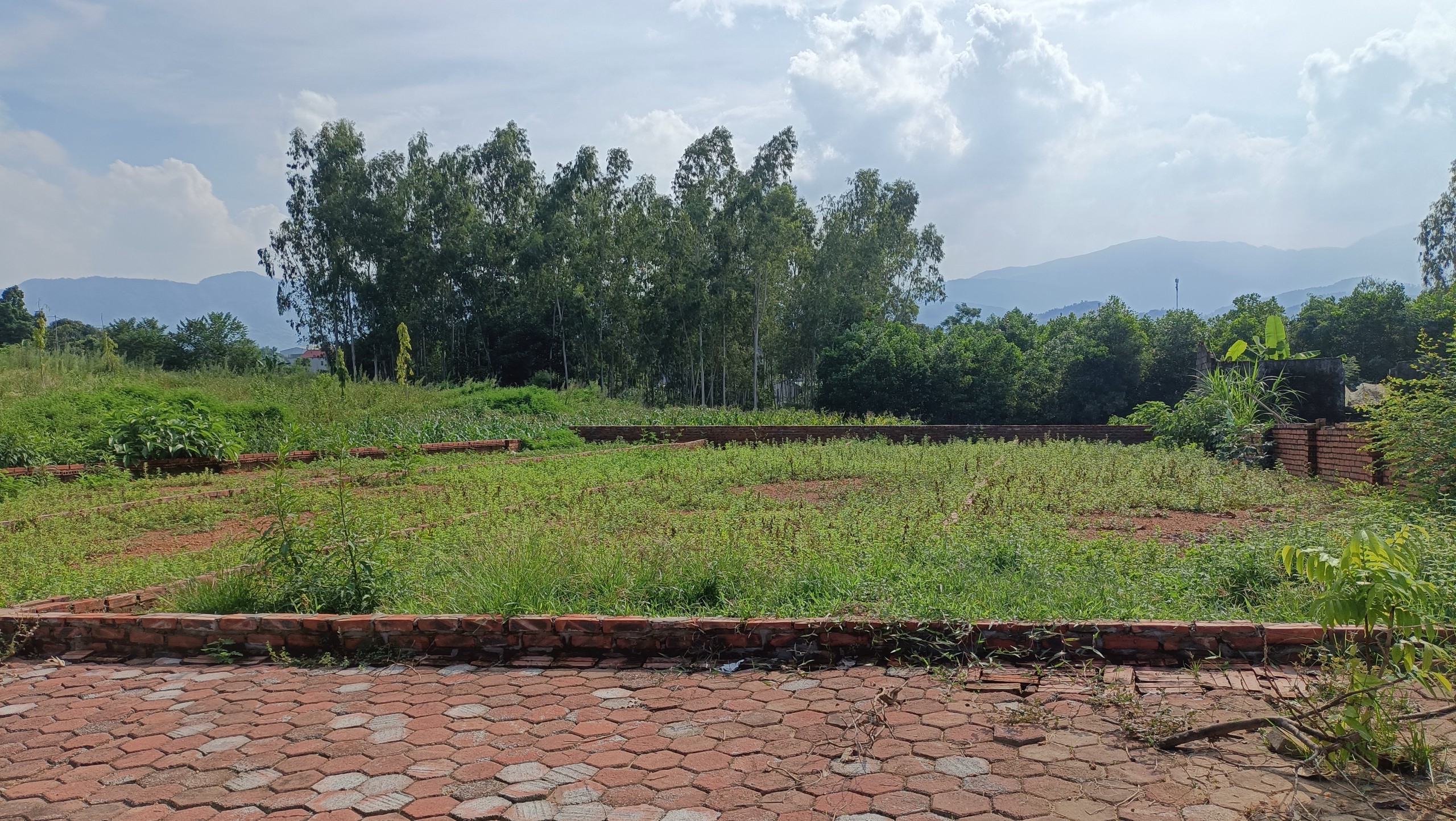 MỞ BÁN 6 LÔ CÙNG DT 140M2 SÁT TÁI ĐỊNH CƯ BẮC PHÚ CÁT GIÁ TỐT