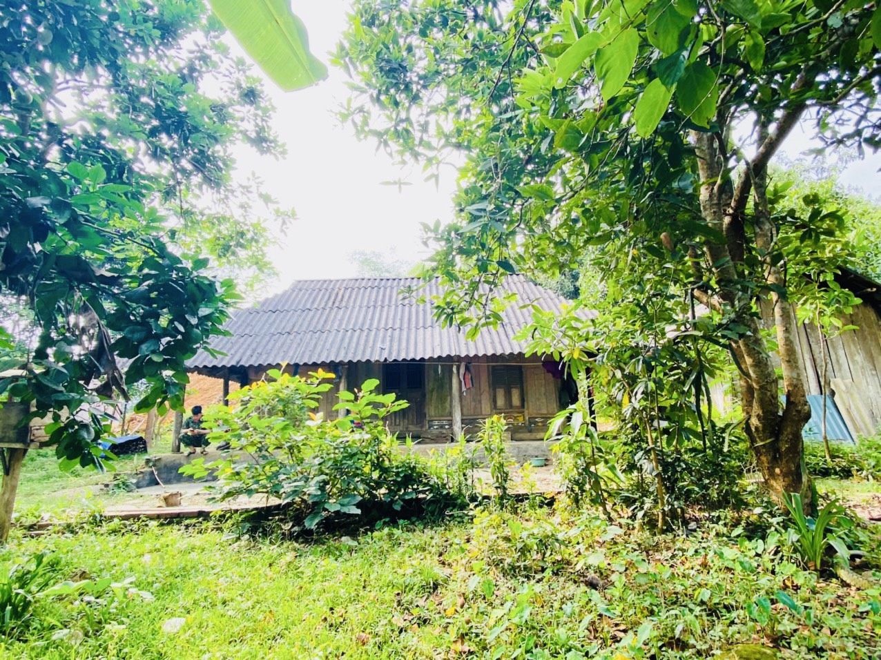 Lô góc 2 mặt tiền view cánh đồng thoáng mát, khu nghỉ dưỡng của anh chị Hà Nội đang ở đông giá rẻ