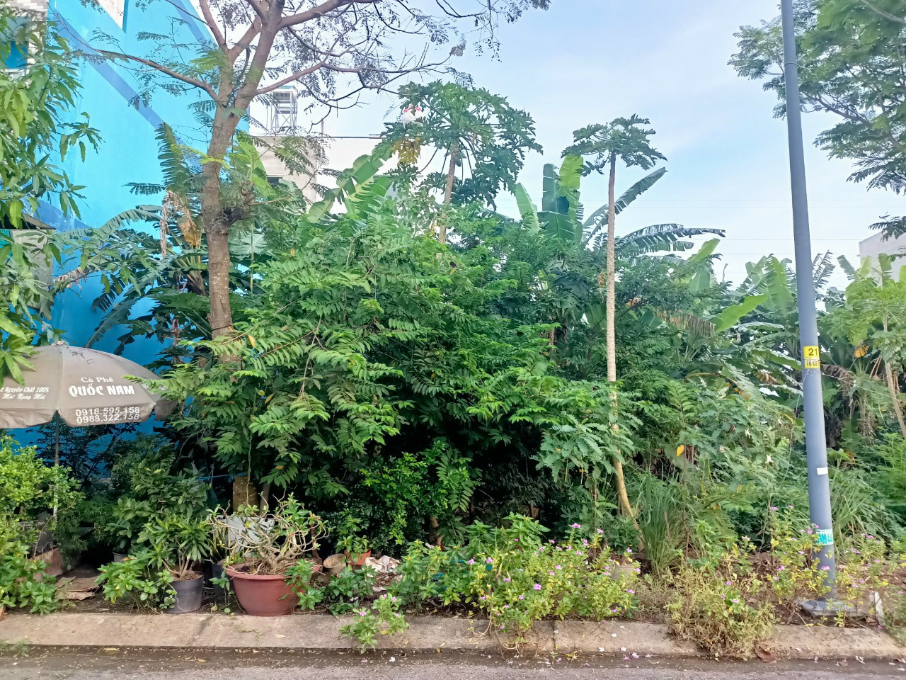 Bán nhanh lô đất nền hợp đồng 100m2 giá 54 triệu/m2 dự án khang điền bình chánh, khu dân cư phong phú 4