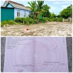 100m2 - 5