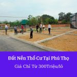  250m2 - 1