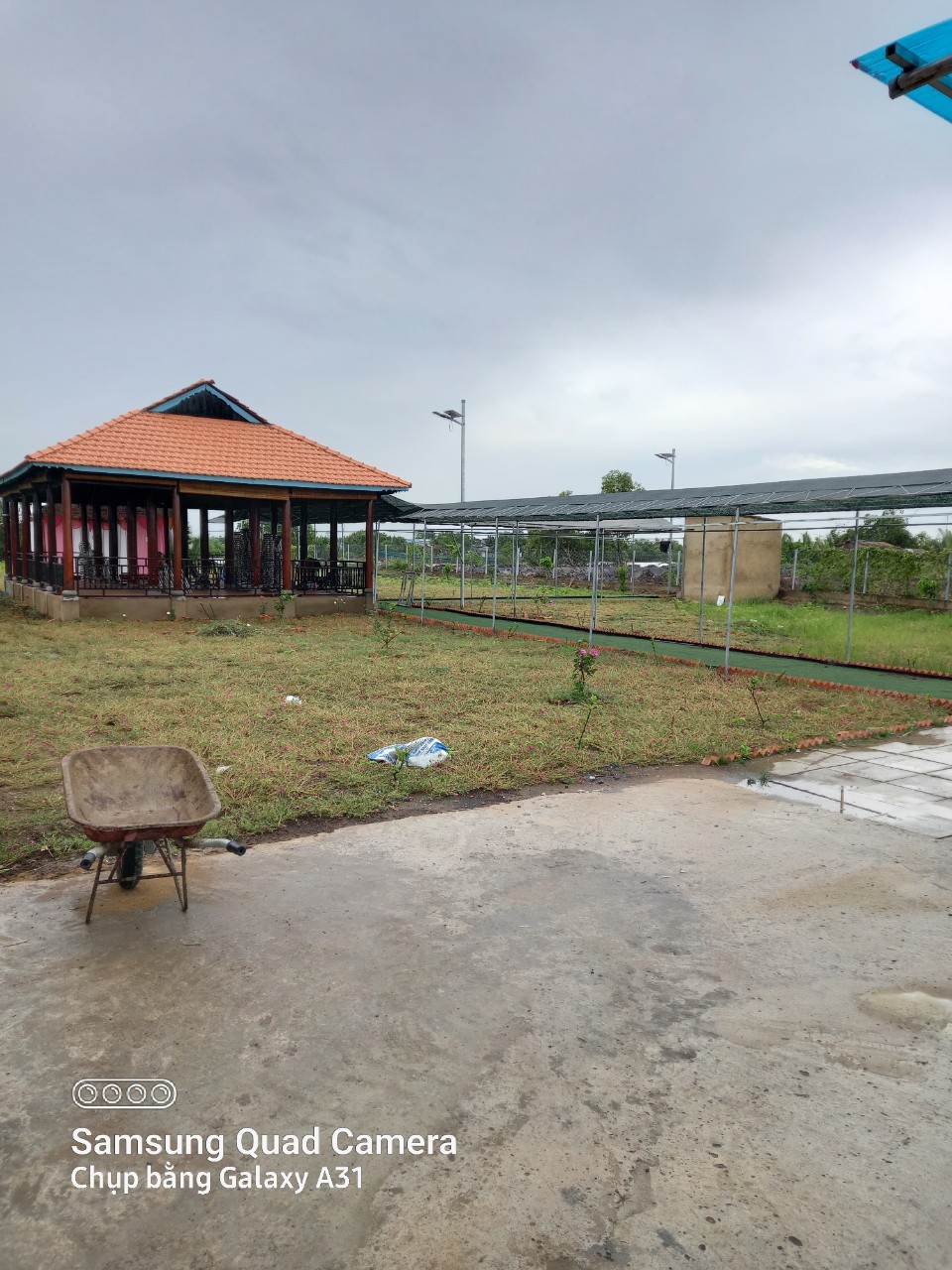 CHÍNH CHỦ BÁN ĐẤT GIÁ RẺ NGAY KHU DU LỊCH XÃ PHƯỚC VĨNH ĐÔNG