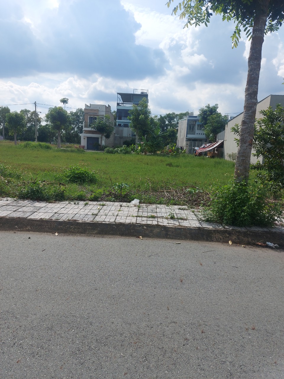 Bán đất 4x18 Khu Cát Tường Phú Sinh - Đức Hoà Long An giá rẻ bất ngờ