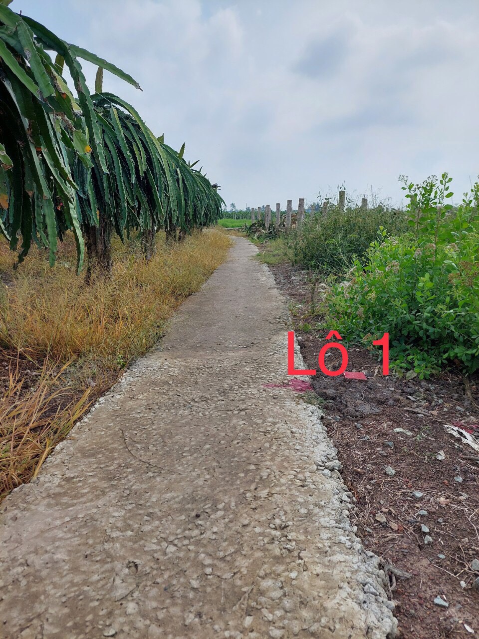 BÁN GẤP LÔ ĐẤT 110,1M2 FULL THỔ TẠI XÃ AN LỤC LONG, CHÂU THÀNH, LONG AN. chỉ 500tr