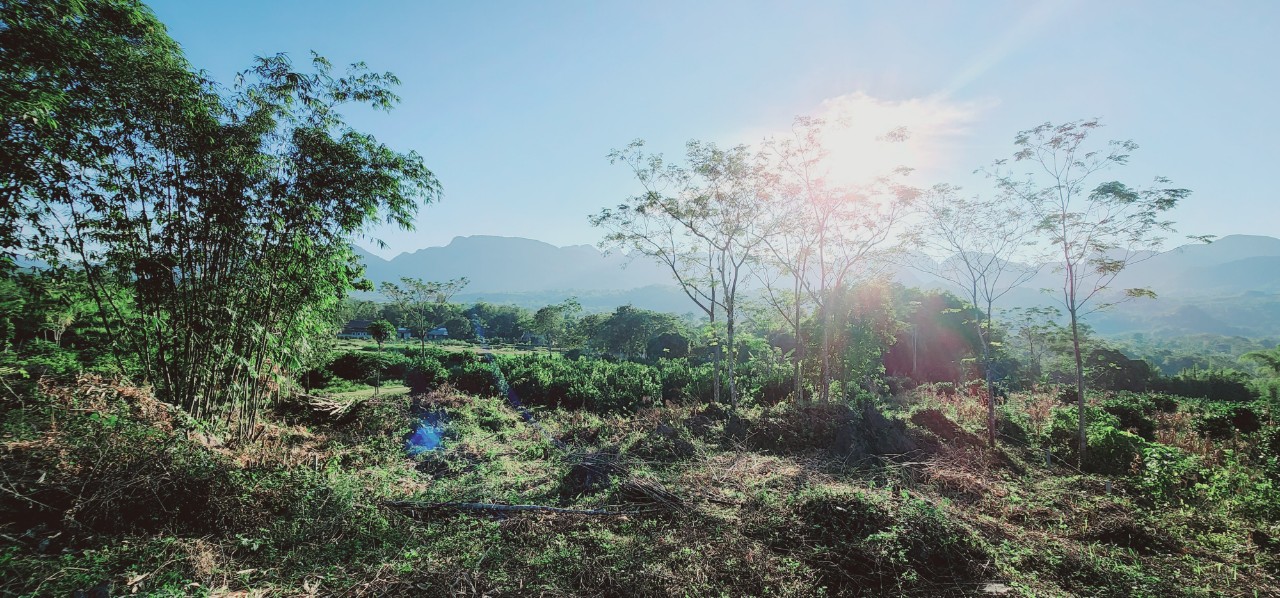 Bán đất Hoà Bình đẹp diện tích 4000m2 (200m2 ONT + Vườn) Tớn Thưa, Phú Vinh, Tân Lạc