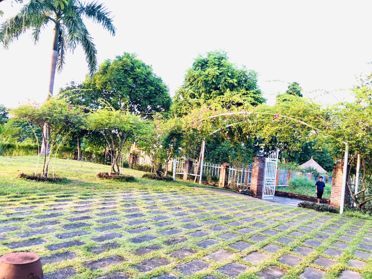 Cần Thanh Khoản 1000m2 100 thổ cư Tại Cư Yên, Lương Sơn, Hoà Bình . Giá 5,x tỷ