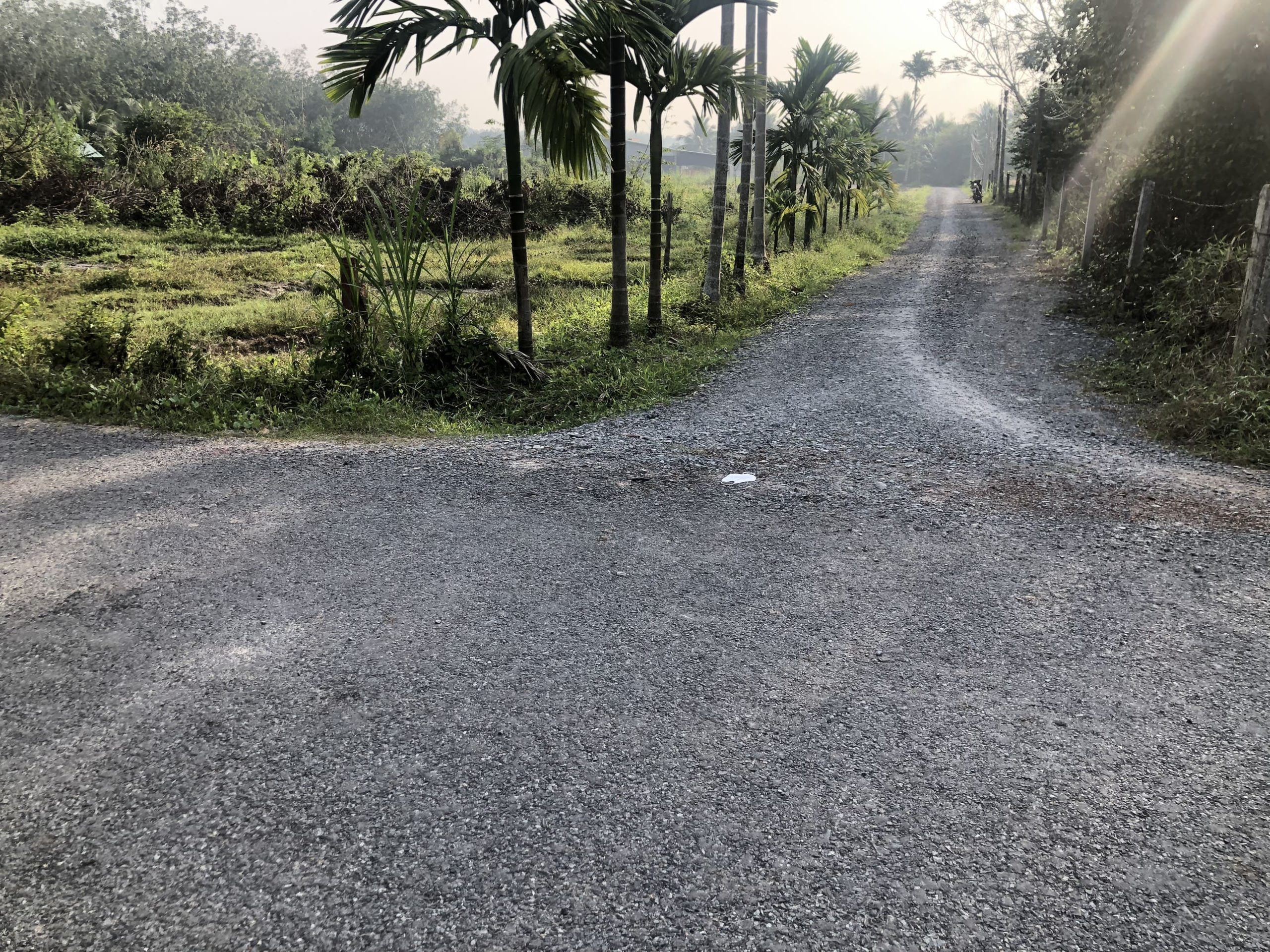 Bán Đất Thổ Cư 5x25 Cây Da Hiệp Thạnh Gò Dầu Tây Ninh