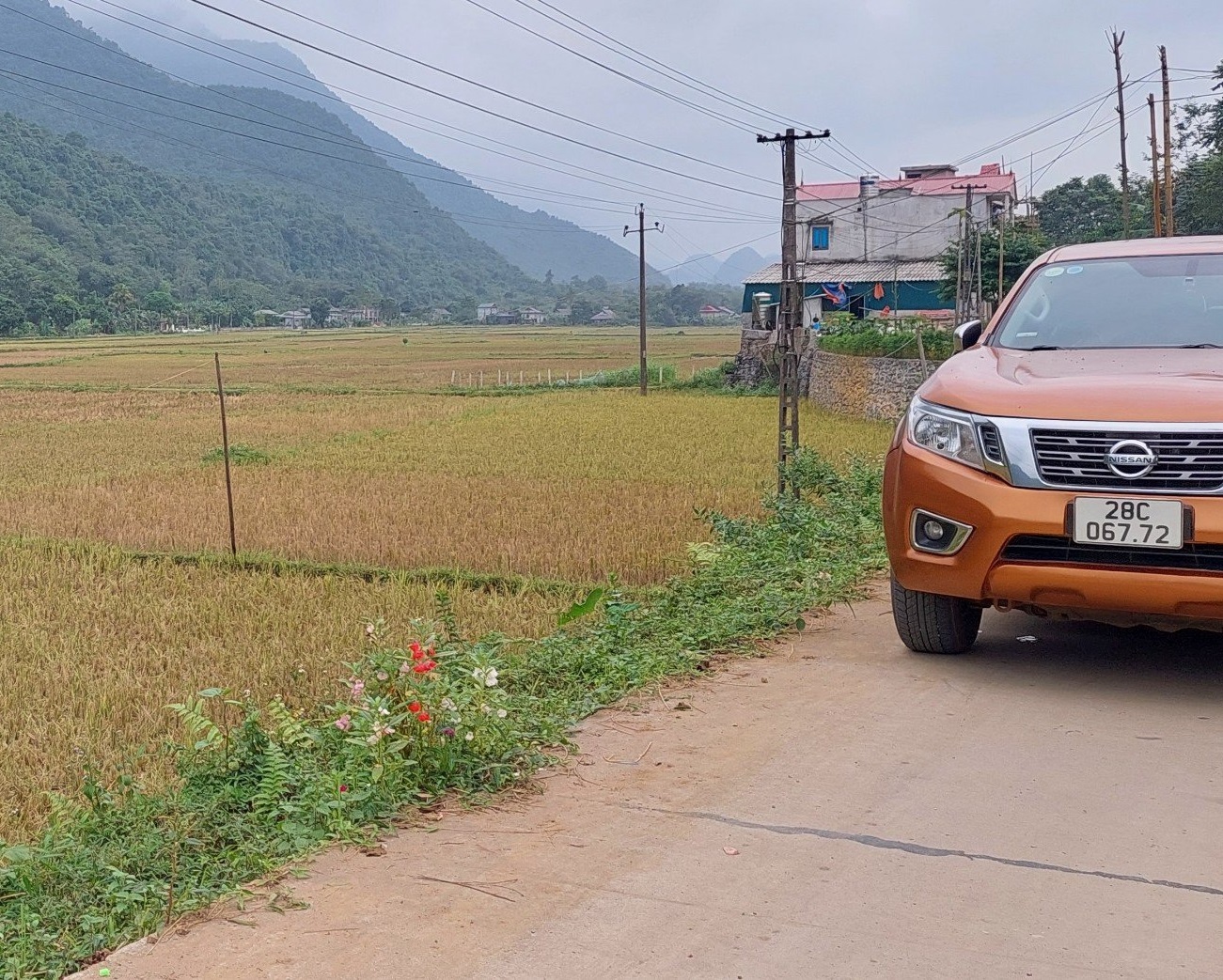 600m2 Phú Cường chỉ hơn 500 củ khoai Có ngay 600n2 tại Xóm khời, Phú Cường, Tân Lạc,