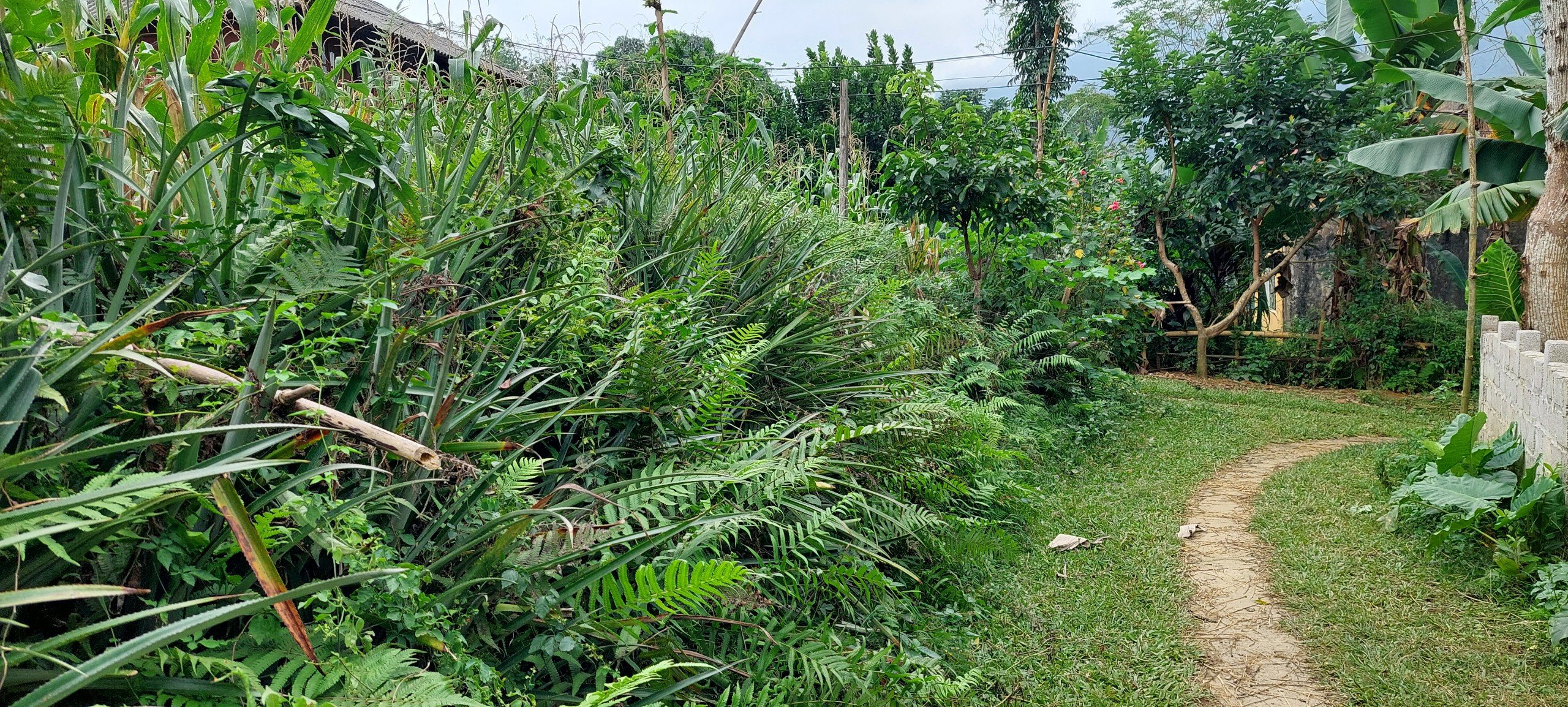 Chính chủ cần bán nhanh lô đất 600m2 Phú Cường chỉ hơn 500 củ khoai Có ngay 600n2 tại Xóm khời, Phú Cường, Tân Lạc,