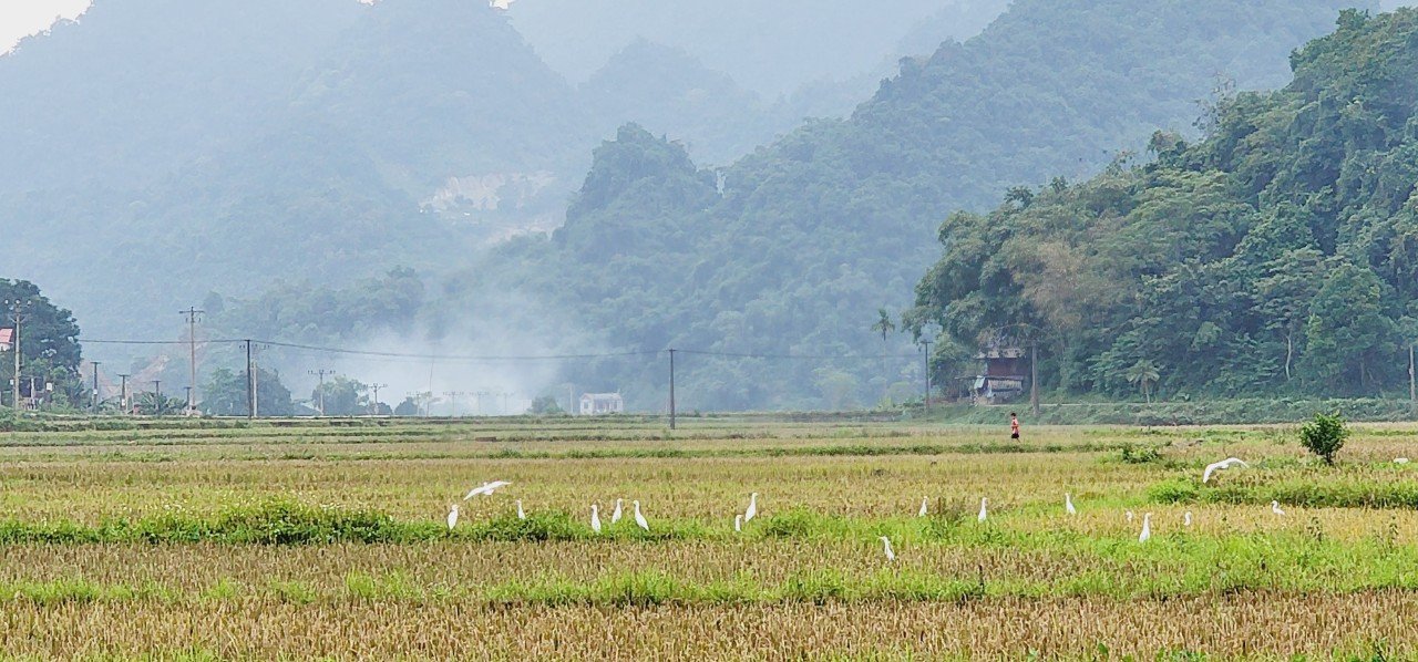 cần bán nhanh lô đất 600m2 Phú Cường chỉ hơn 500 củ khoai Có ngay 600n2 tại Xóm khời, Phú Cường, Tân Lạc