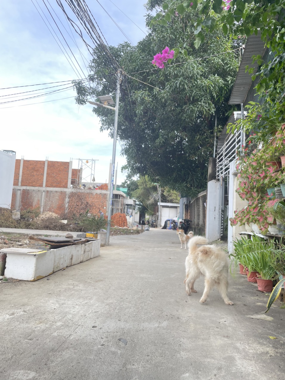 Cần bán đất thổ cư Phú Thạnh, Vĩnh Thạnh, Nha Trang gần Bệnh viện Giao thông vận tải chỉ từ 1 tỷ 115tr bao sang sổ.