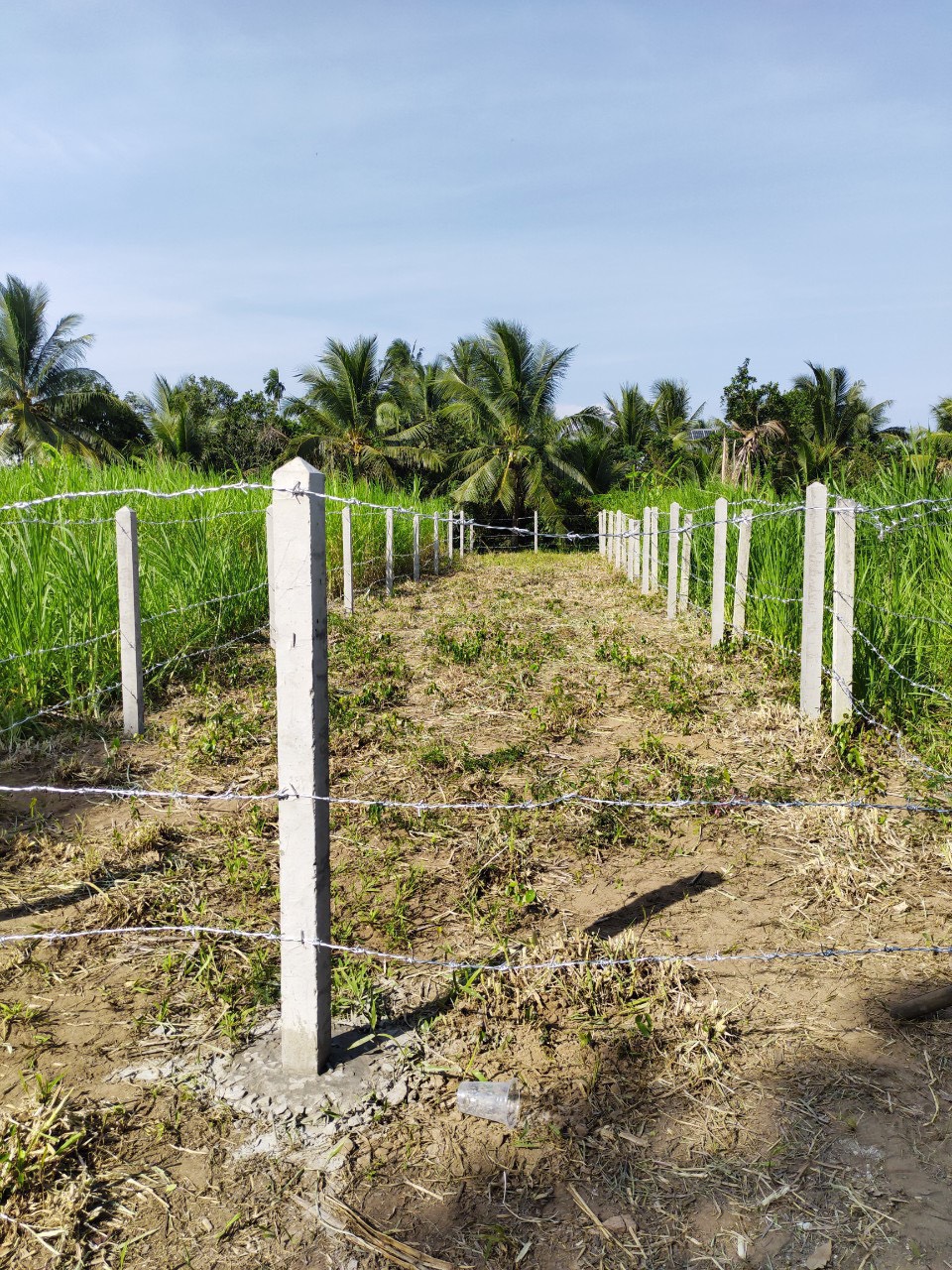 Bán nhanh 2 nền đất mặt tiền 92A Đạo Thạnh, TP. Mỹ Tho Tiền Giang