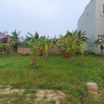  115m2 - 3