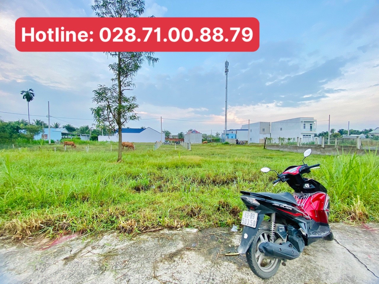 Nền đất Mỹ Hòa, Mỹ Phong, Mỹ Tho Tiền Giang