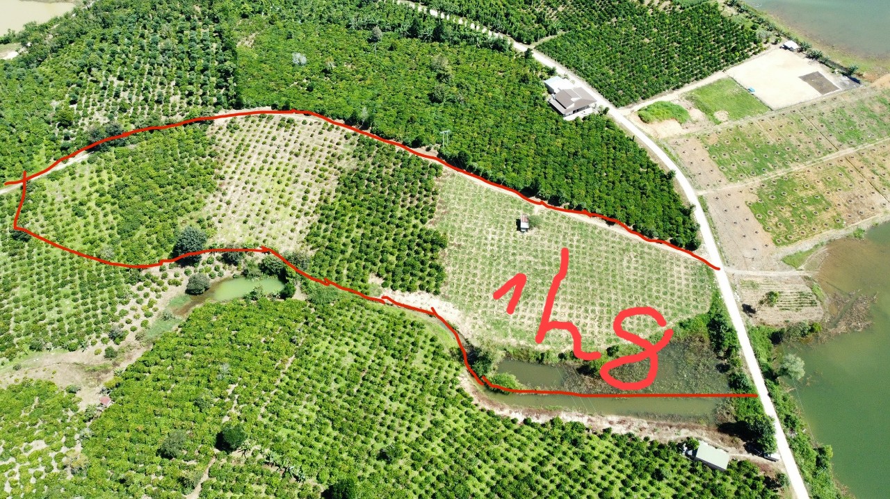 Hot! Hot! Chính Chủ Cần Bán Gấp Đất Tại Huyện Lắk