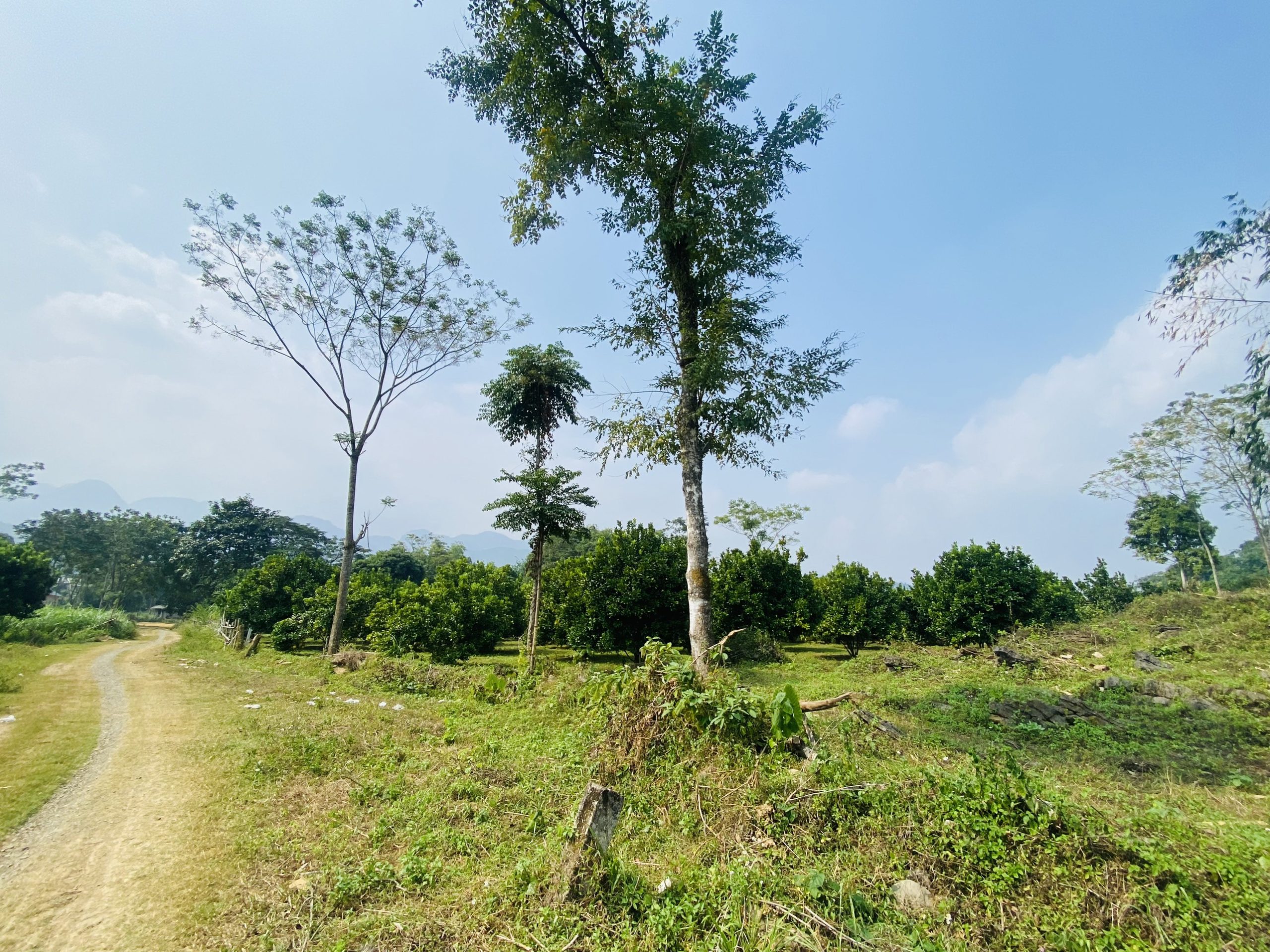 chủ cần bán gấp lô đất 4000m2 Phú Vinh Tân Lạc Chỉ hơn 370k/m đất Hoà Bình( 200 ONT+vườn)