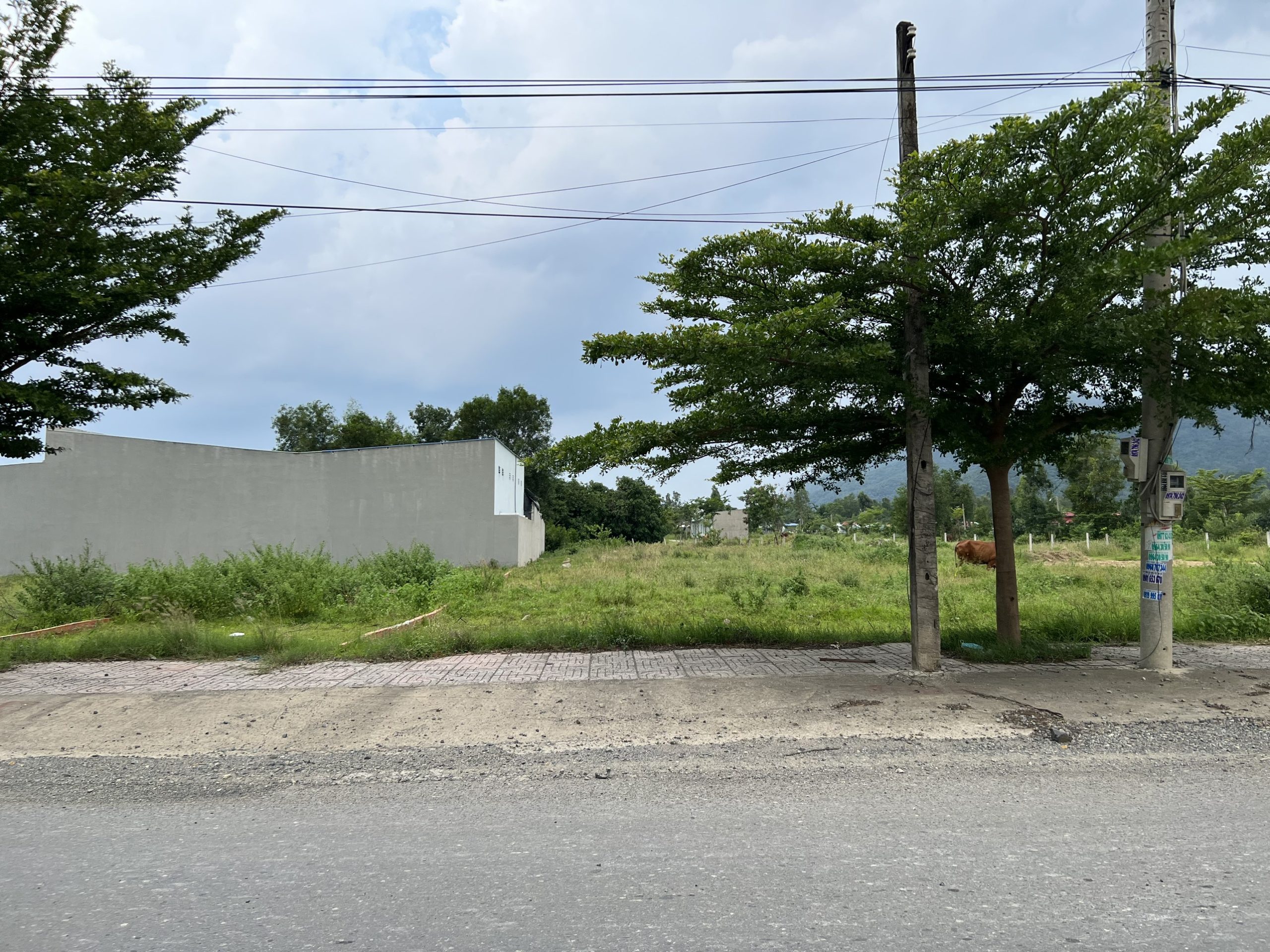 Kẹt quá em bán lỗ vốn - MT nhánh Bà Rịa - Châu Pha, Phú Mỹ chỉ 1.58 tỷ. Đất sát KCN Châu Đức