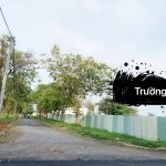  100m2 - 5