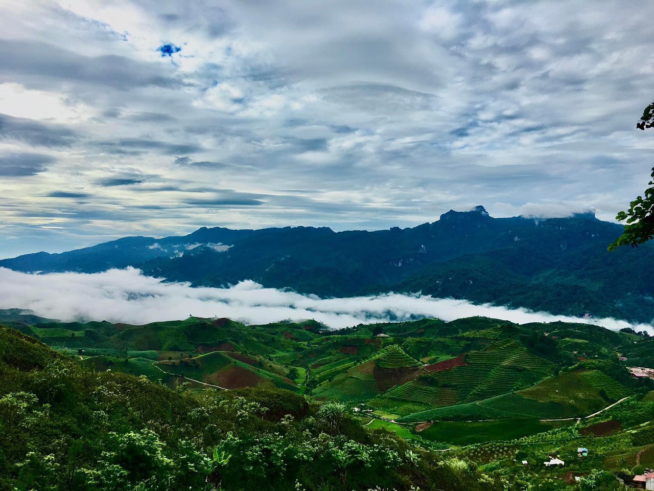 BÁN ĐẤT MỘC CHÂU VIEW SĂN MÂY CẢ NGÀY GIÁ CỰC RẺ