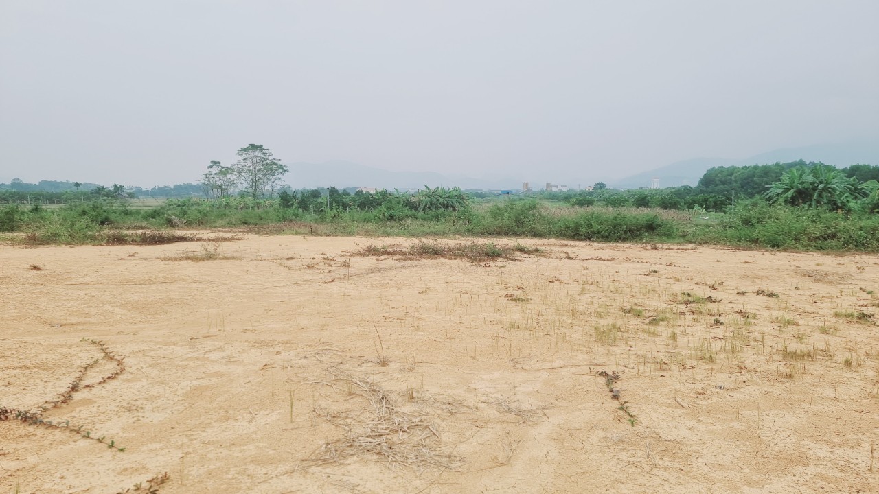 Bán gấp 6000m2 đất thổ cư nhuận trạch giá 2.x triệu/m2