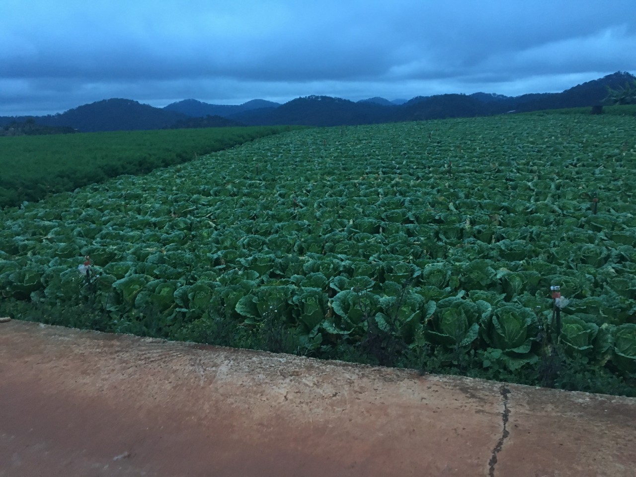 Bán 1050m2 Đất Xuân Thọ Phù Hợp Làm Nhà Ở, Nhà Hàng, Điểm Checkin Du Lịch đường 8m