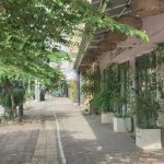  150m2 - 5