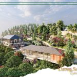  50000m2 - 7