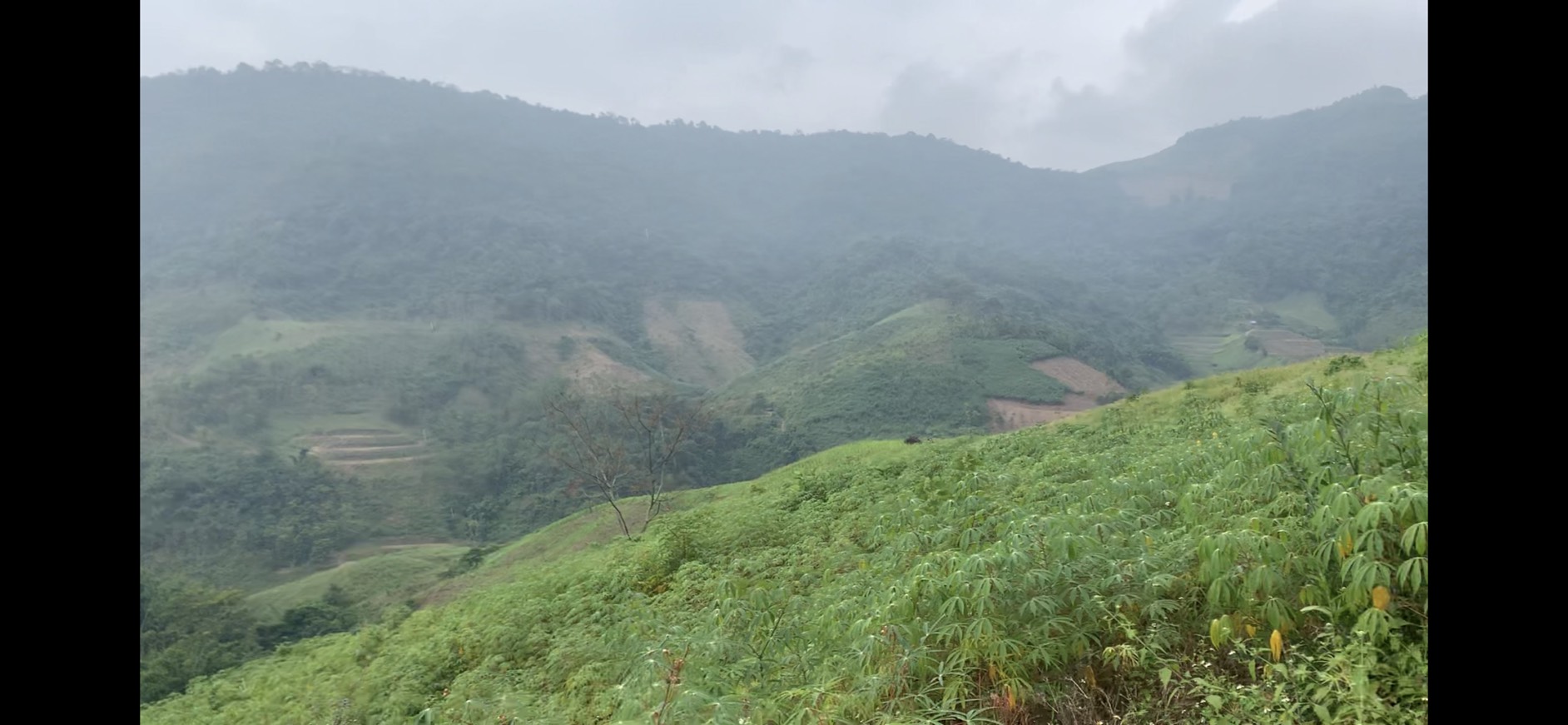 Đất nền Mộc Châu đón sóng cao tốc, cắt lỗ giá rẻ. Bán nhanh 1,5 ha view thung lũng