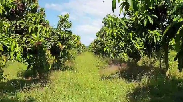 Bán nhà đất MT đường 761, xã Phú Lý, Vĩnh Cửu, Đồng Nai. DT đất: 33.519m2. Có 900m2 thổ cư. DT nhà 100m2. 39 tỷ.