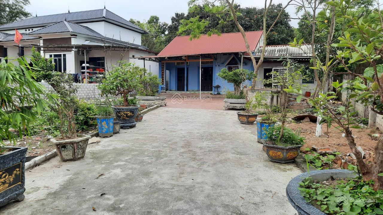 CHÍNH CHỦ CẦN BÁN GẤP LÔ ĐẤT 562M2 TẠI XÃ TAM QUAN, TAM ĐẢO, VĨNH PHÚC.