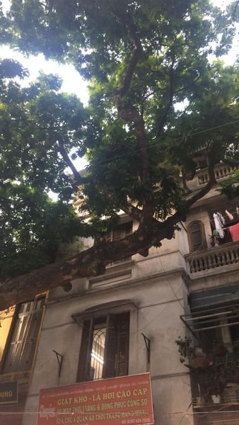 CHÍNH CHỦ CẦN BÁN NHANH CĂN NHÀ PHỐ HOÀN KIẾM, CHỢ ĐỒ ĐIỆN.